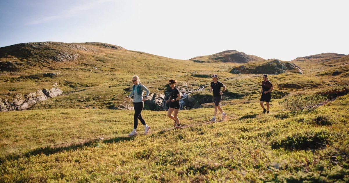 Synnfjell Sky Race